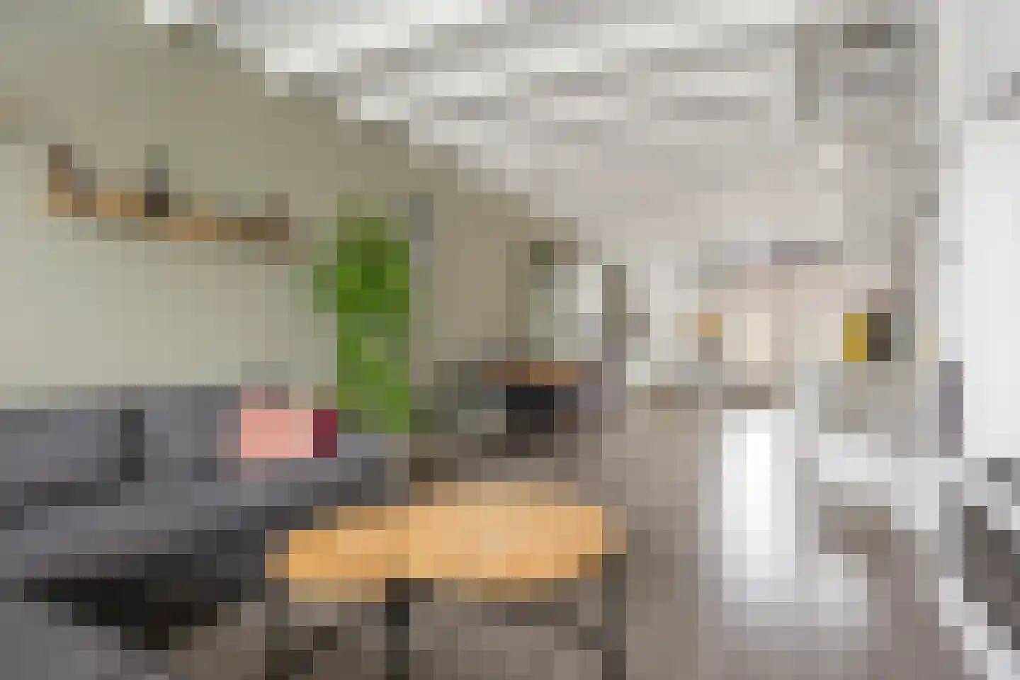 Van Speykstraat 64 Capelle aan den IJssel thumbnail 10