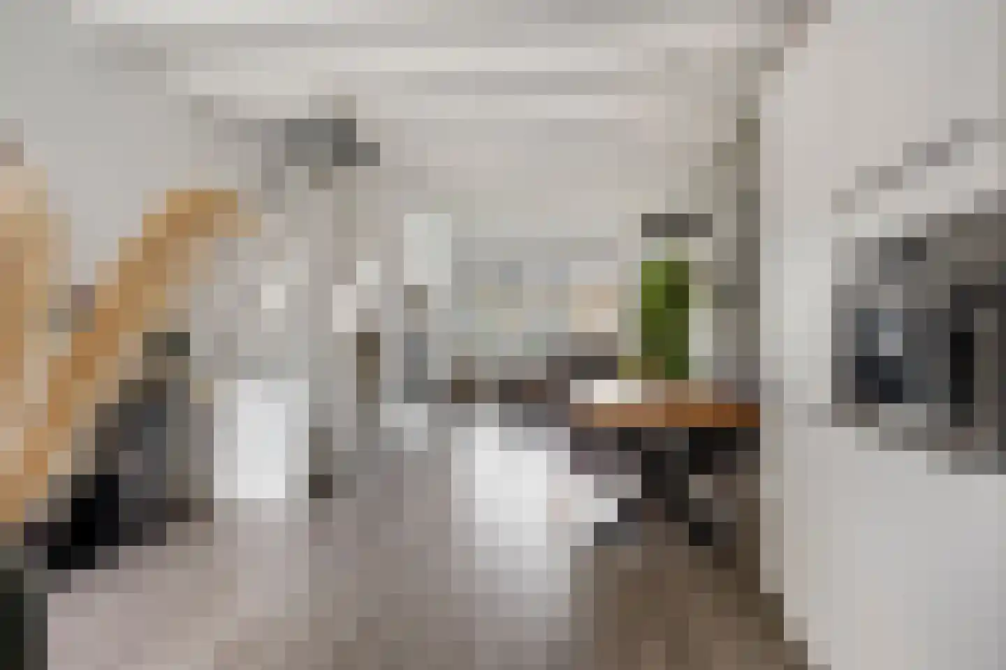 Van Speykstraat 64 Capelle aan den IJssel thumbnail 13