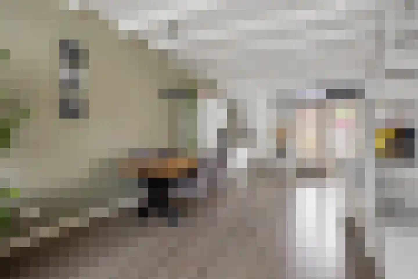 Van Speykstraat 64 Capelle aan den IJssel thumbnail 14