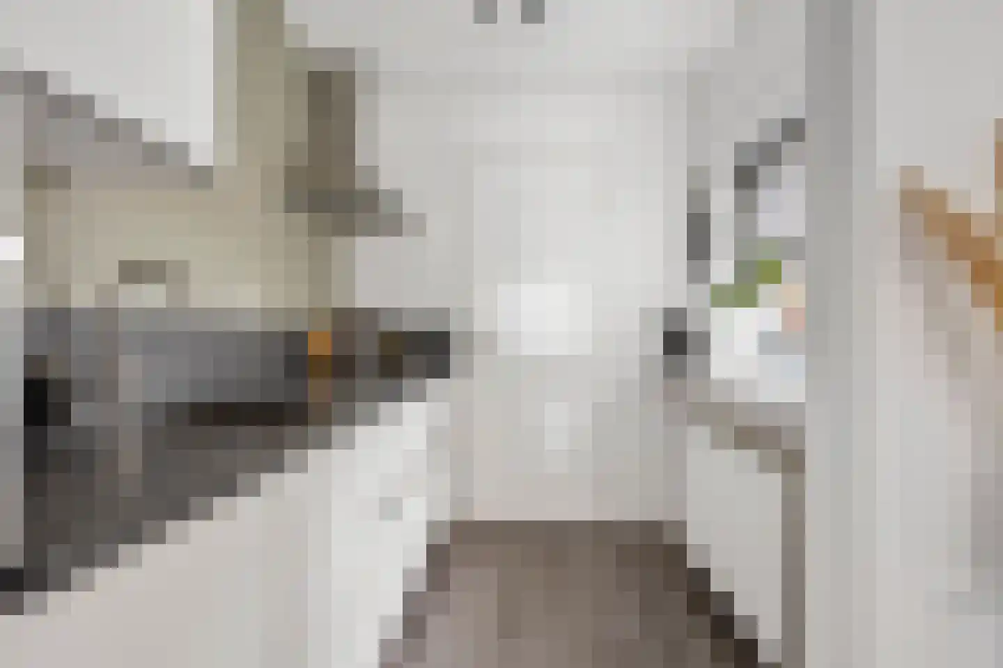 Van Speykstraat 64 Capelle aan den IJssel thumbnail 17