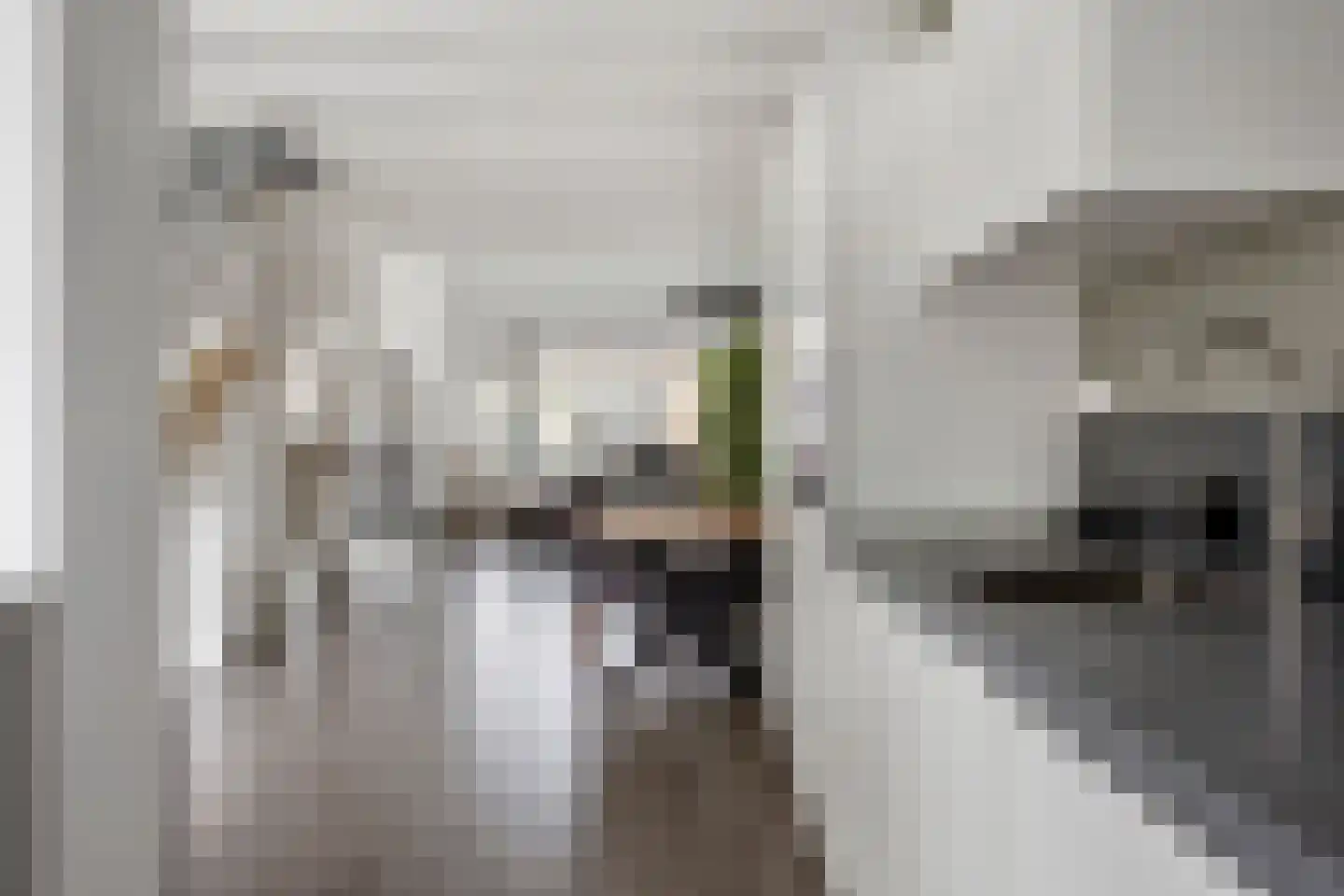 Van Speykstraat 64 Capelle aan den IJssel thumbnail 19
