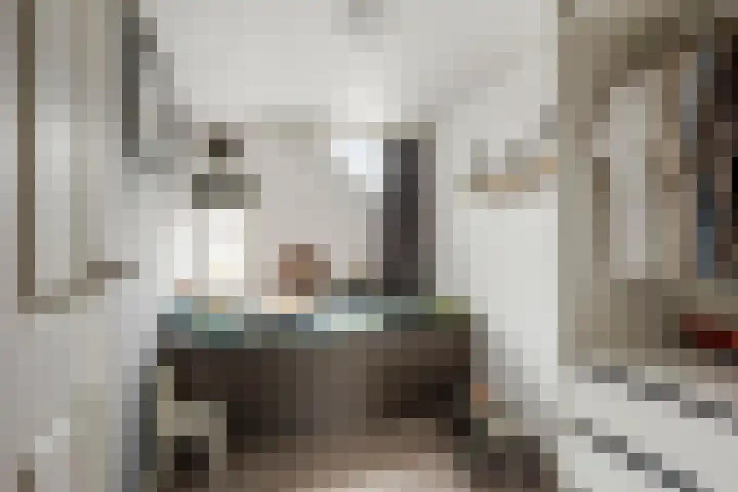 Van Speykstraat 64 Capelle aan den IJssel thumbnail 32