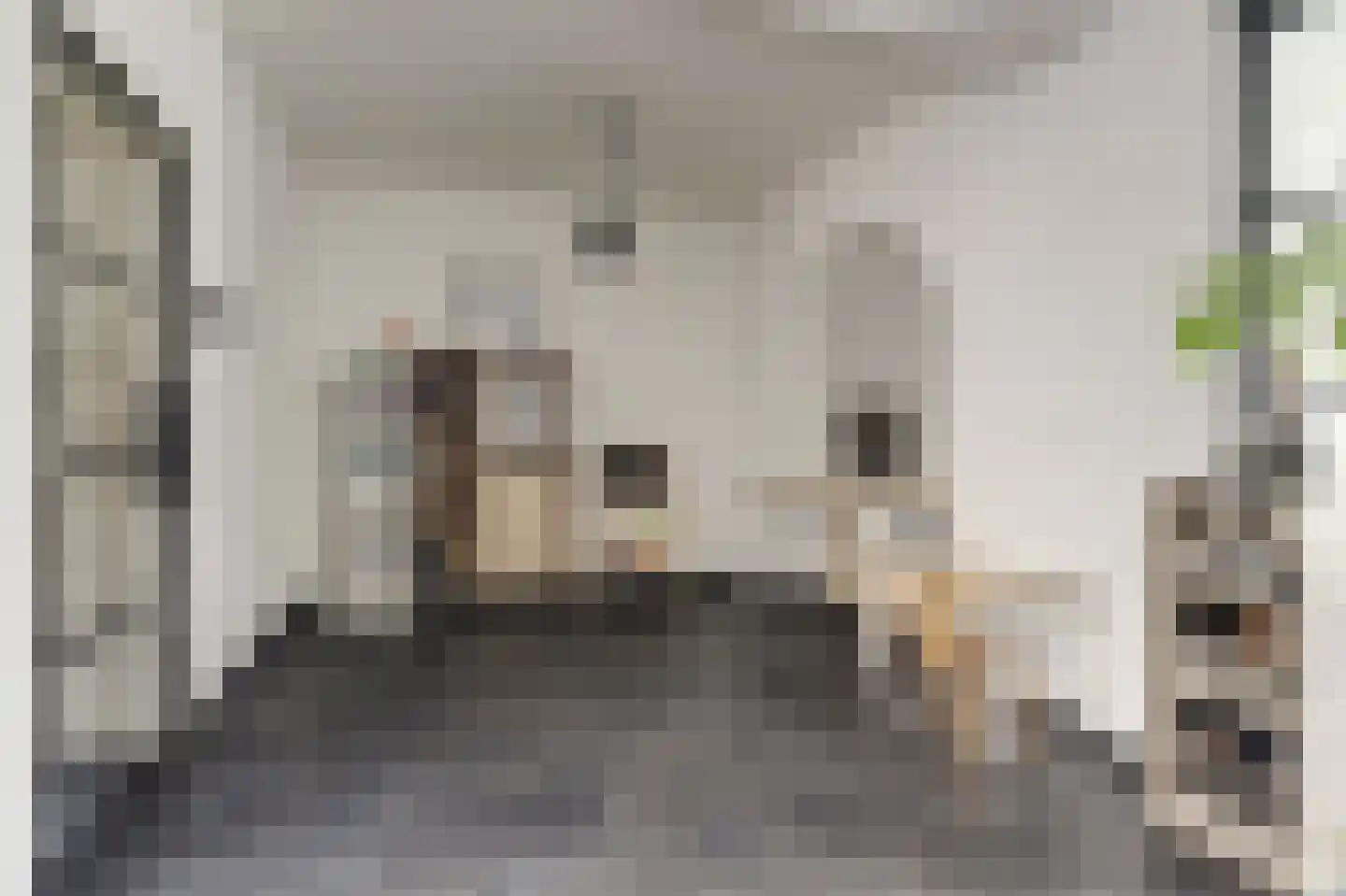 van Speykstraat 7 Dongen thumbnail 10