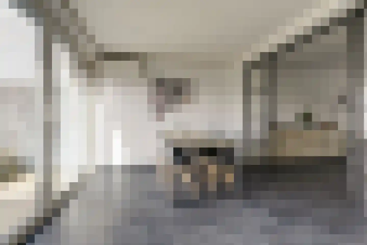 van Speykstraat 7 Dongen thumbnail 12