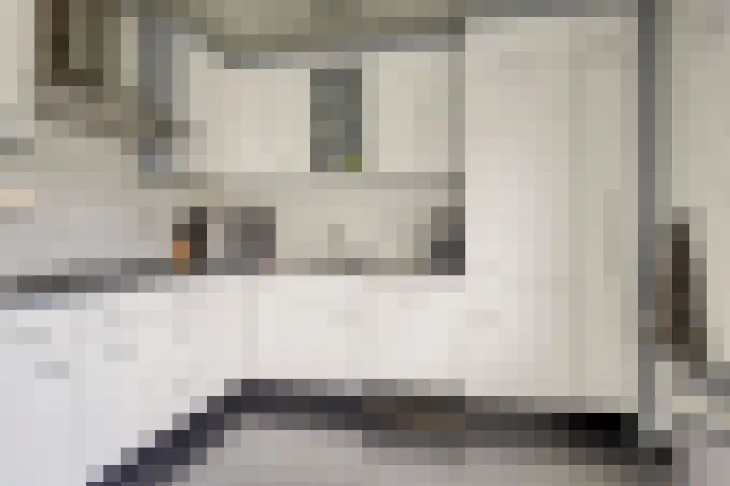 van Speykstraat 7 Dongen thumbnail 14