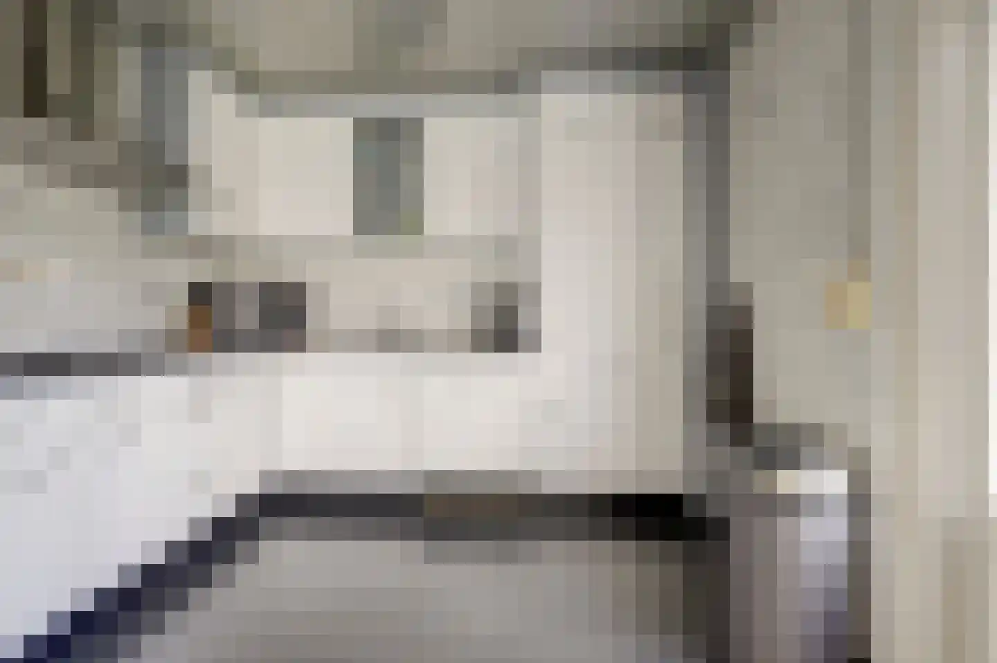 van Speykstraat 7 Dongen thumbnail 15