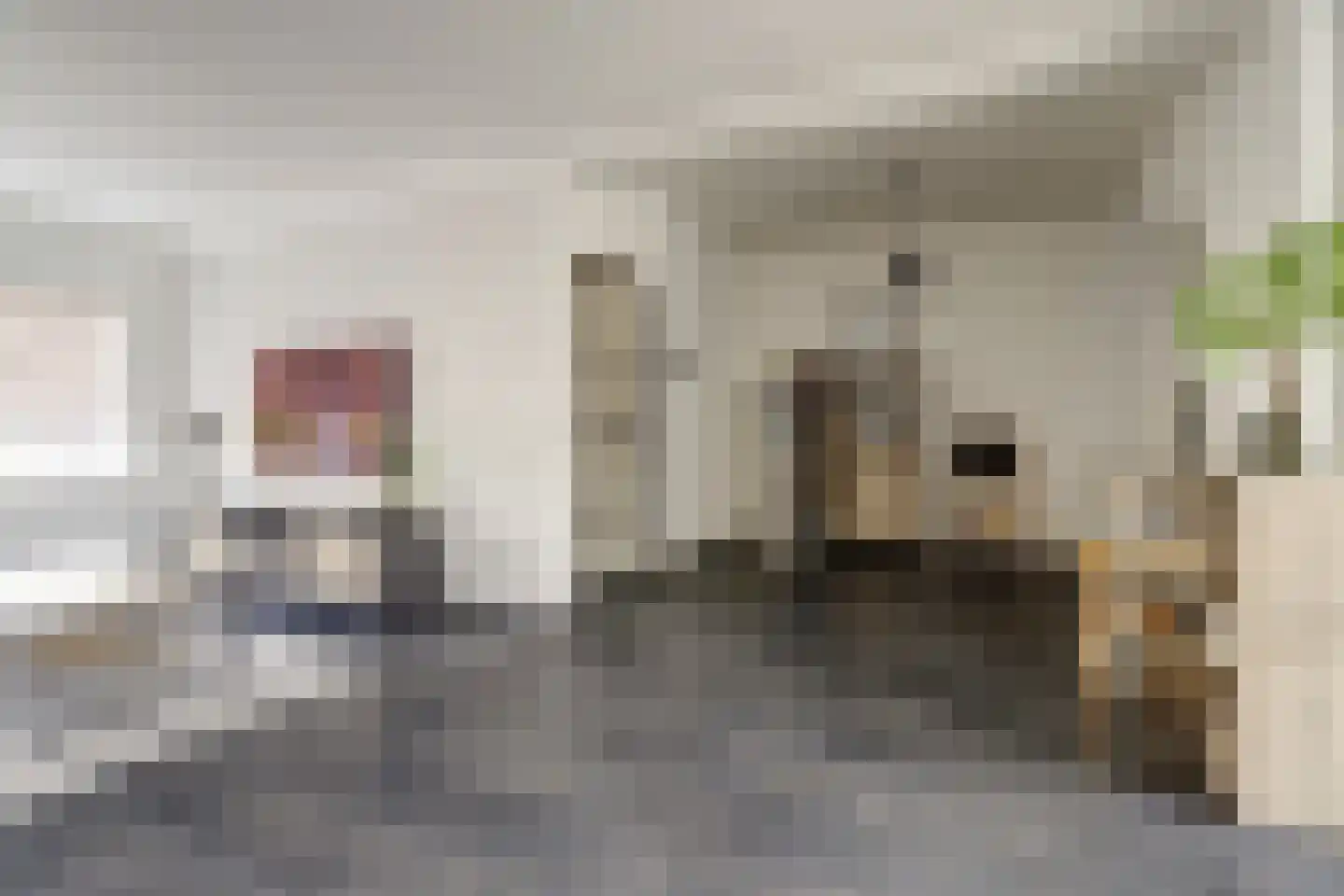 van Speykstraat 7 Dongen thumbnail 9