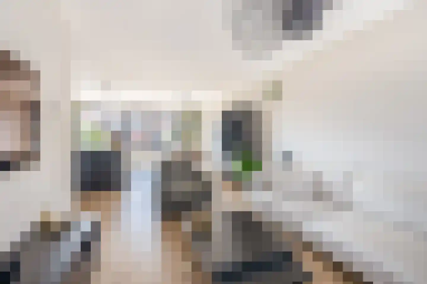 van Speykstraat 73 Lisse thumbnail 10