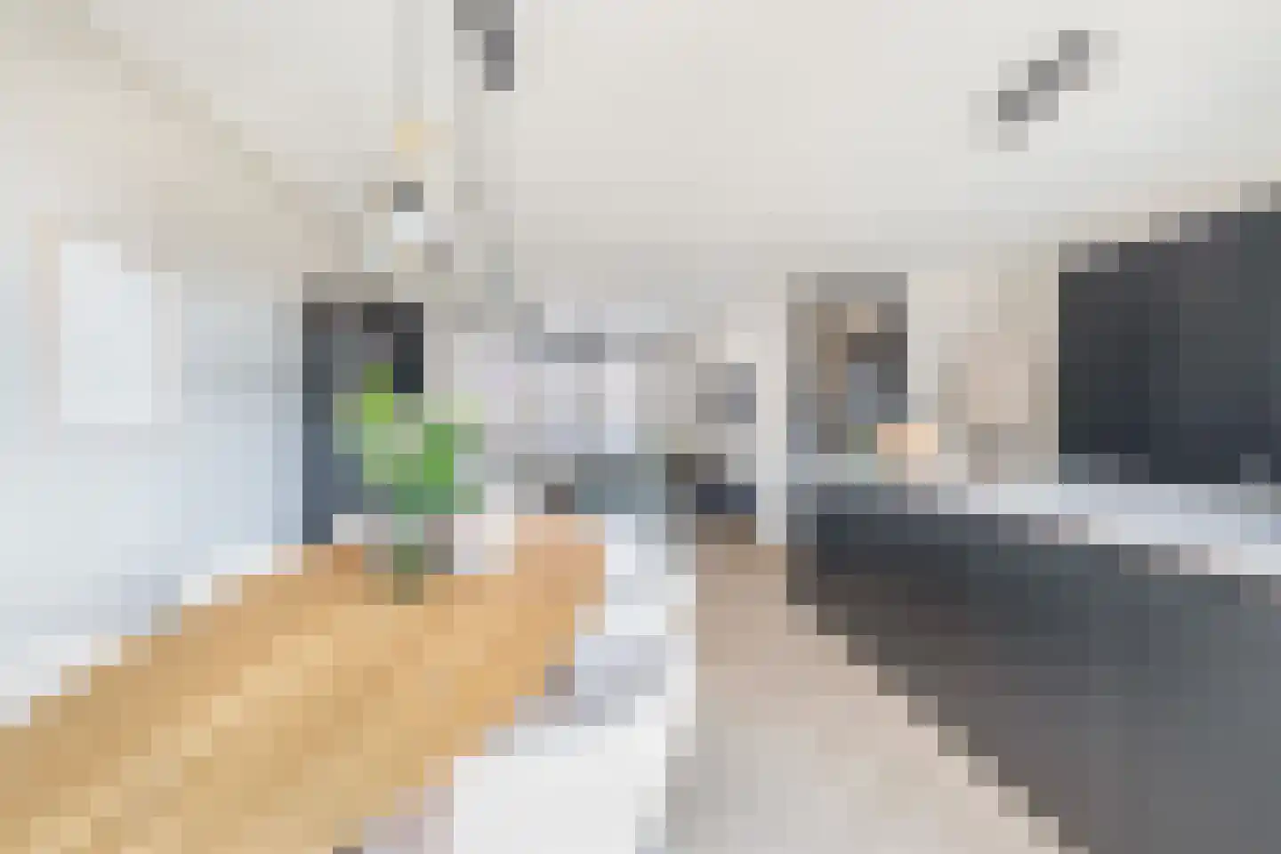 van Speykstraat 73 Lisse thumbnail 12
