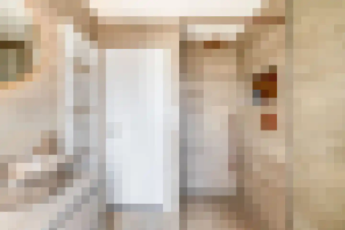 van Speykstraat 73 Lisse thumbnail 32