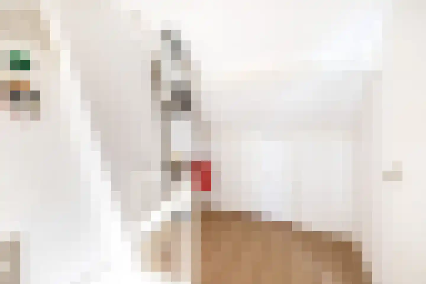 van Speykstraat 73 Lisse thumbnail 35