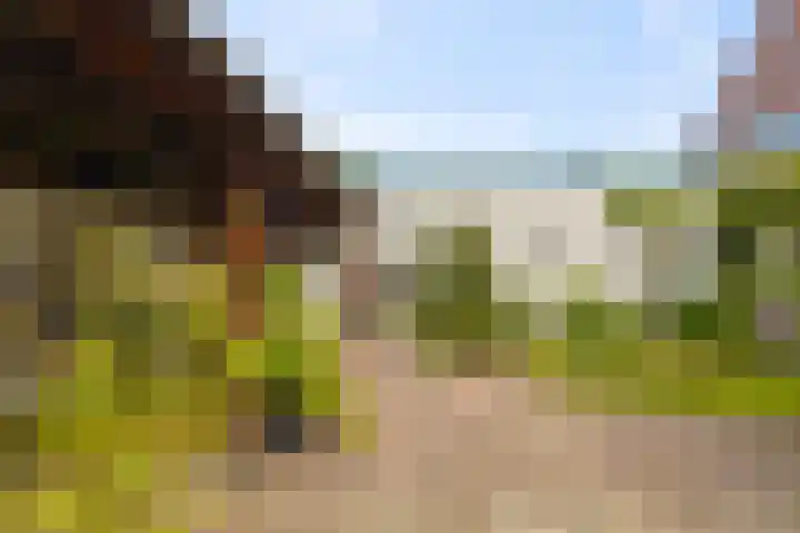 Van Speykstraat 8 Den Helder thumbnail 19