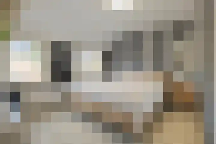 Van Speykstraat 8 Den Helder thumbnail 22