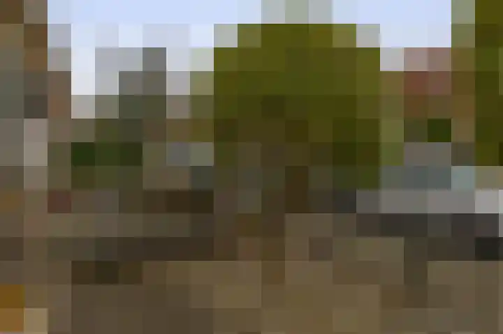 Van Speykstraat 80 Capelle aan den IJssel thumbnail 13
