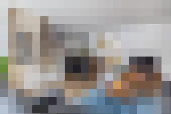 Van Speykstraat 80 Capelle aan den IJssel thumbnail 16