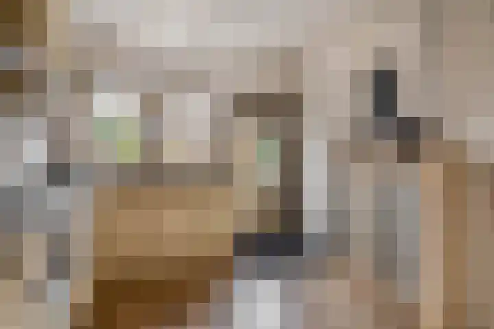 Van Speykstraat 80 Capelle aan den IJssel thumbnail 22