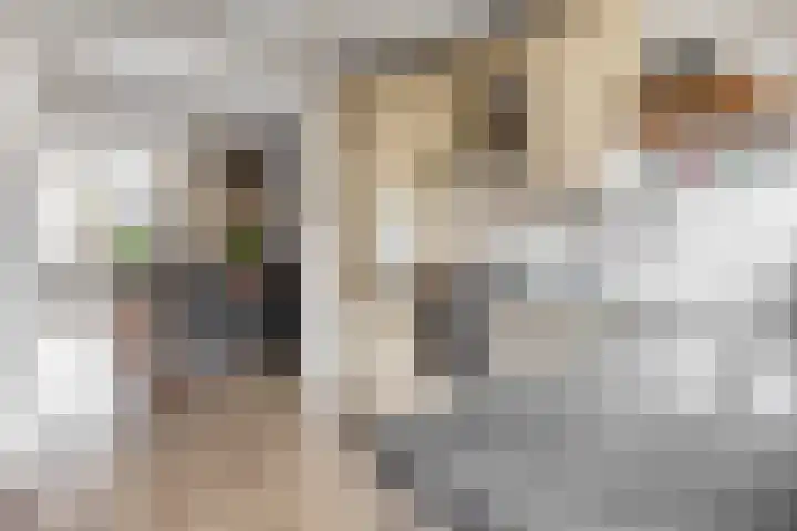 Van Speykstraat 80 Capelle aan den IJssel thumbnail 23