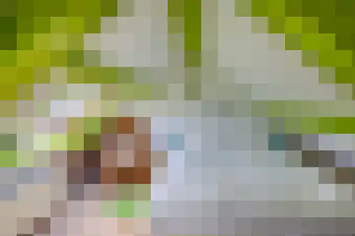 Van Speykstraat 80 Capelle aan den IJssel thumbnail 33