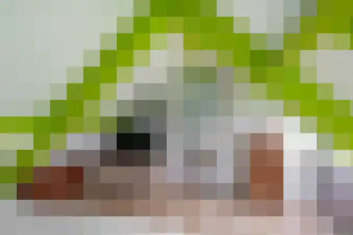 Van Speykstraat 80 Capelle aan den IJssel thumbnail 34