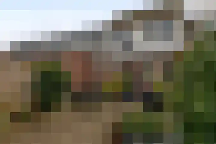 Van Speykstraat 80 Capelle aan den IJssel thumbnail 39