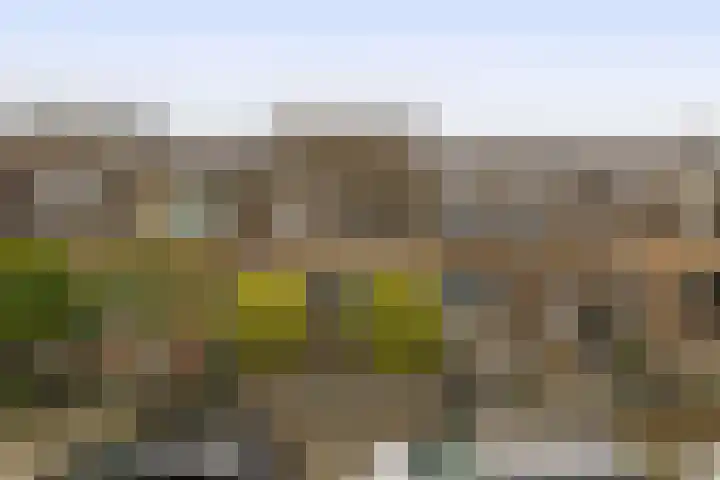 Van Speykstraat 80 Capelle aan den IJssel thumbnail 6