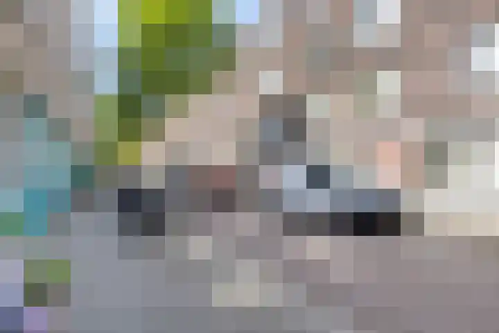 Van Speykstraat 81 Rotterdam thumbnail 24
