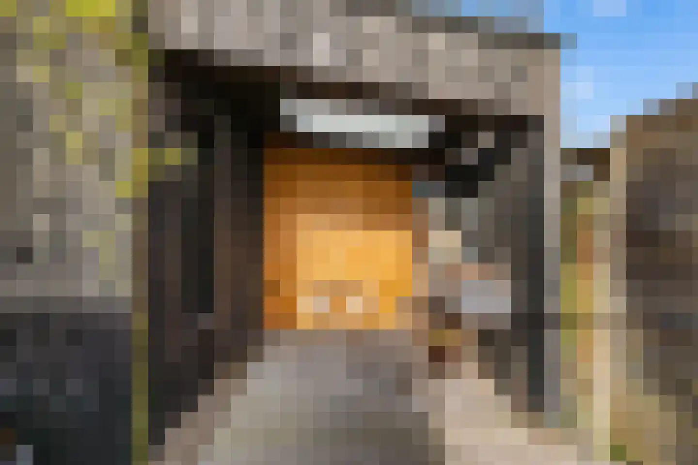 Van Speykstraat 9 Groningen thumbnail 21