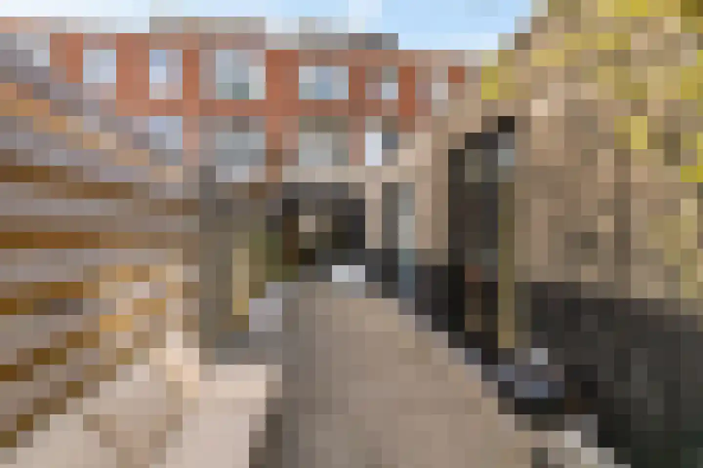 Van Speykstraat 9 Groningen thumbnail 22