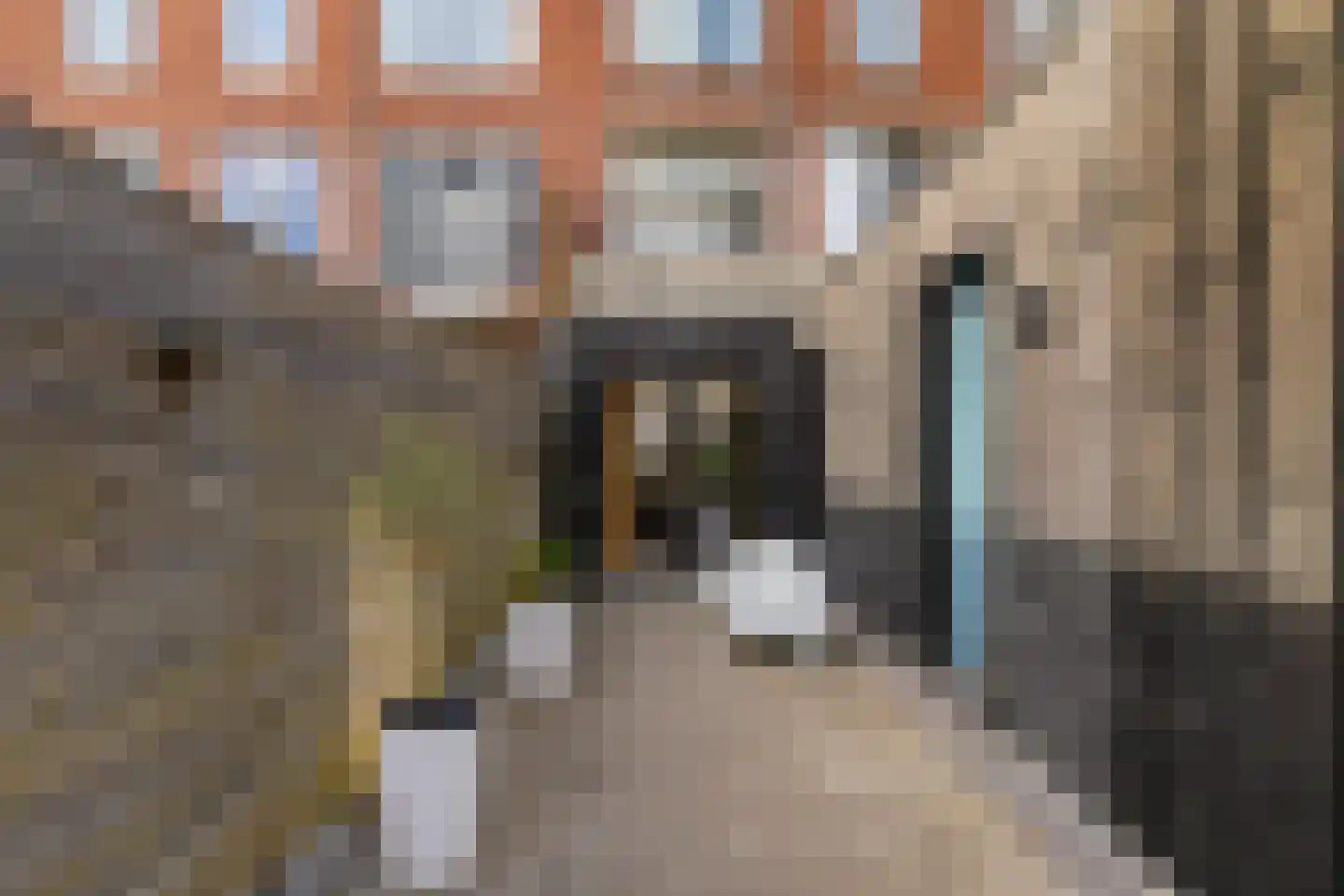 Van Speykstraat 9 Groningen thumbnail 23