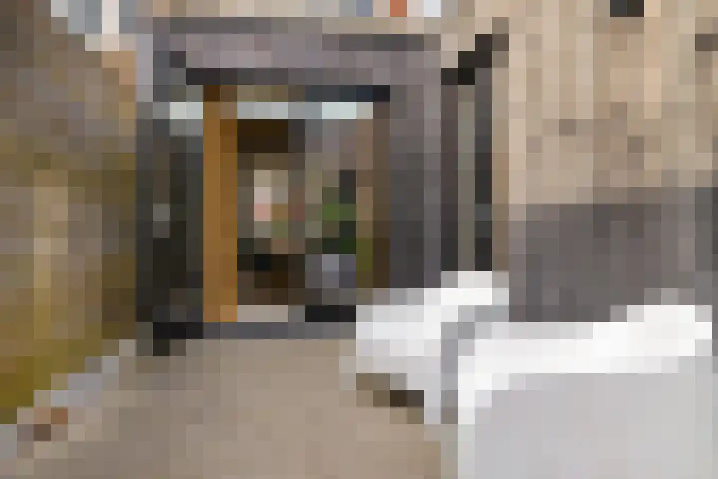Van Speykstraat 9 Groningen thumbnail 24