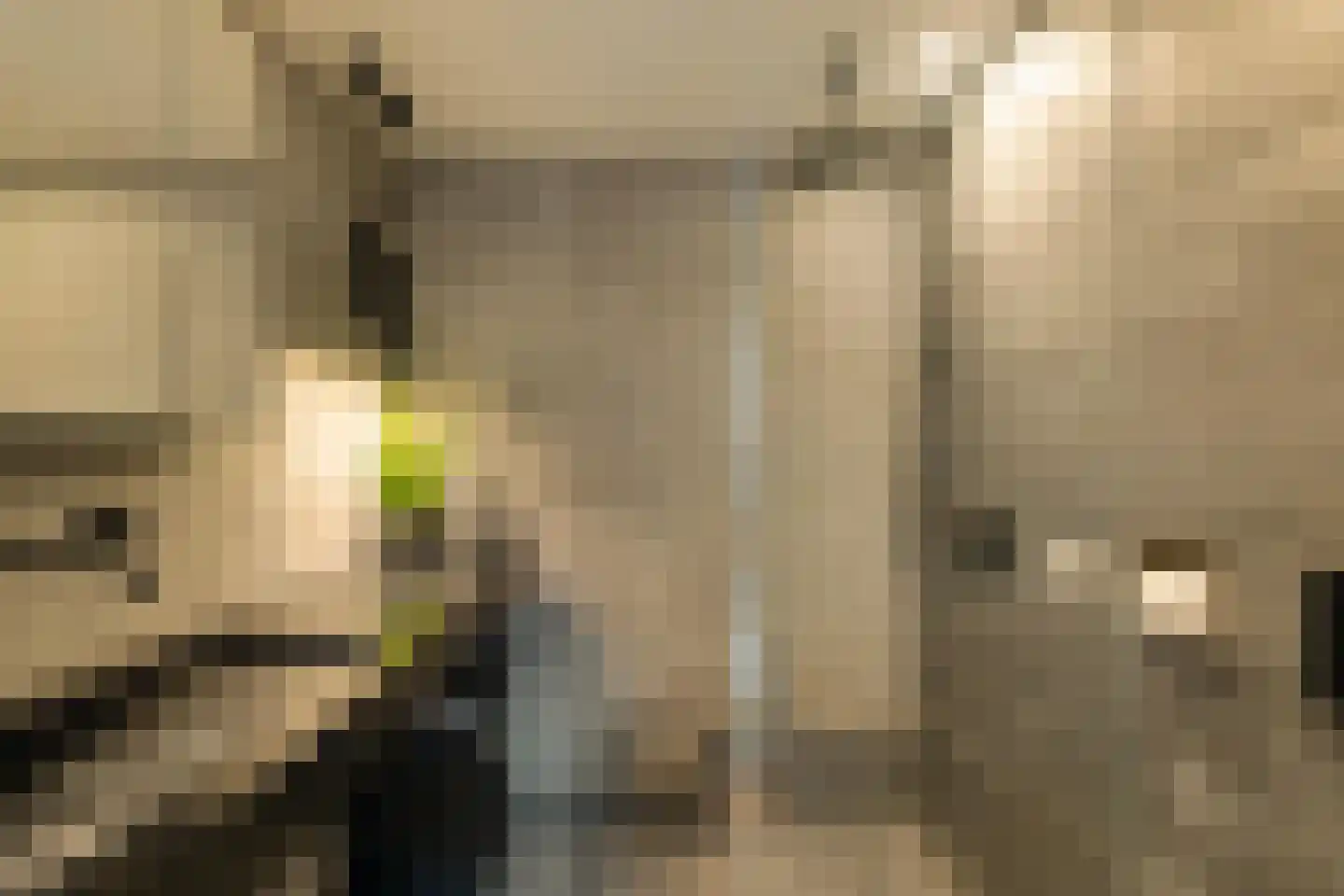 Van Speykstraat 9 Groningen thumbnail 28