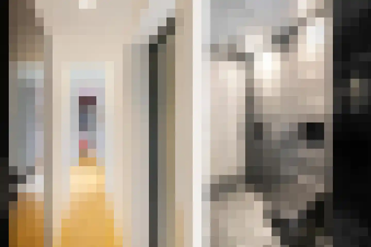 Van Speykstraat 9 Groningen thumbnail 29