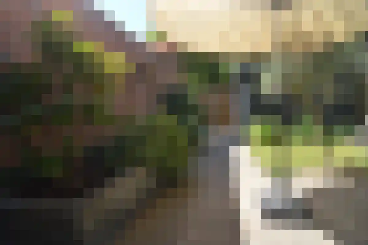 van Speykweg 10 Breda thumbnail 6