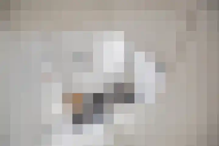 van Speykweg 4 Breda thumbnail 10