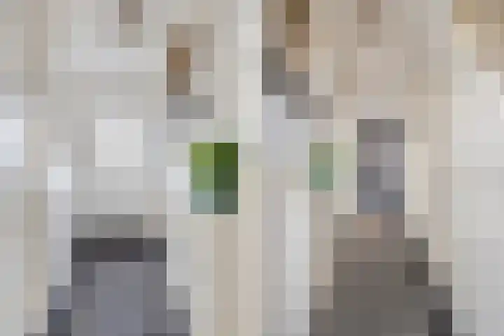 van Speykweg 4 Breda thumbnail 11