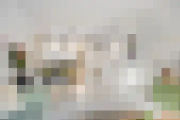 van Speykweg 4 Breda thumbnail 17
