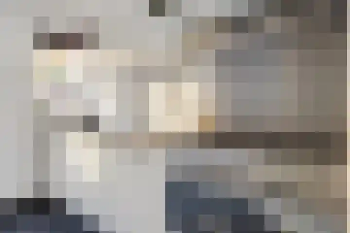 van Speykweg 4 Breda thumbnail 20