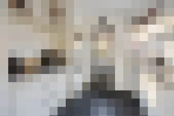 van Speykweg 4 Breda thumbnail 21