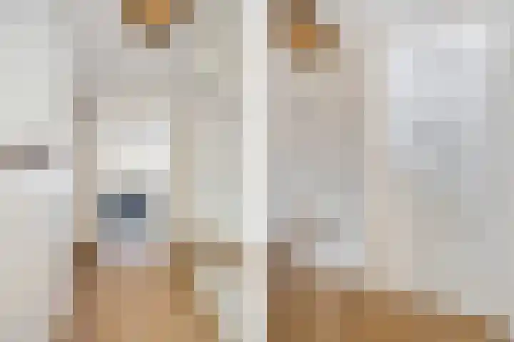van Speykweg 4 Breda thumbnail 25