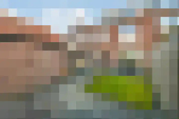 van Speykweg 4 Breda thumbnail 44