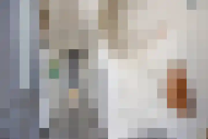 van Speykweg 4 Breda thumbnail 9