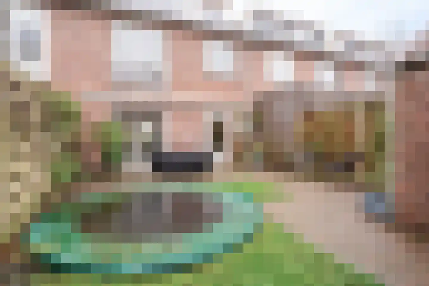 van Speykweg 7 Breda thumbnail 27