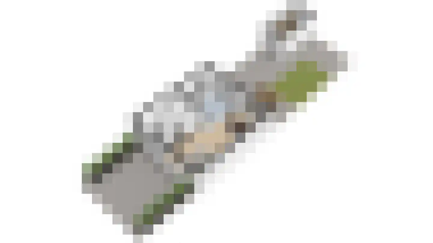 van Speykweg 7 Breda thumbnail 33