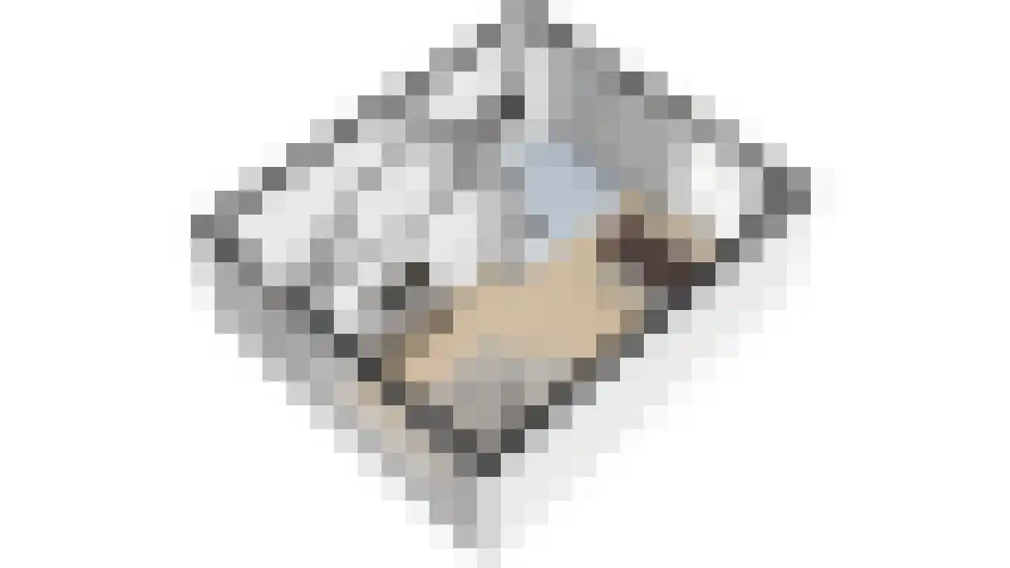 van Speykweg 7 Breda thumbnail 35