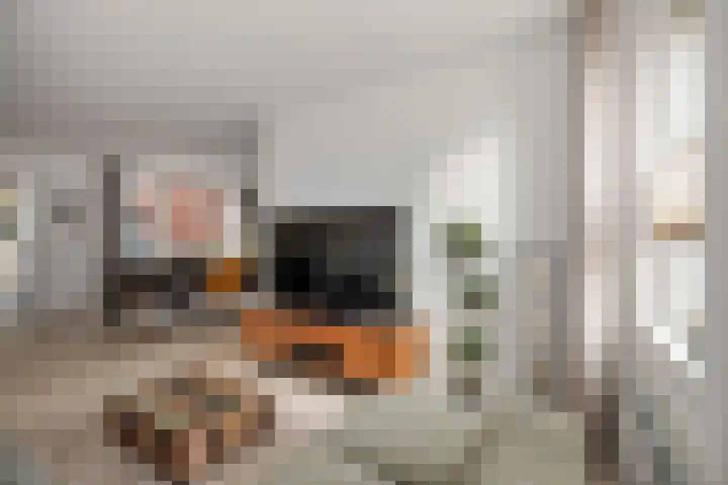van Spiegelstraat 13 Twello thumbnail 6