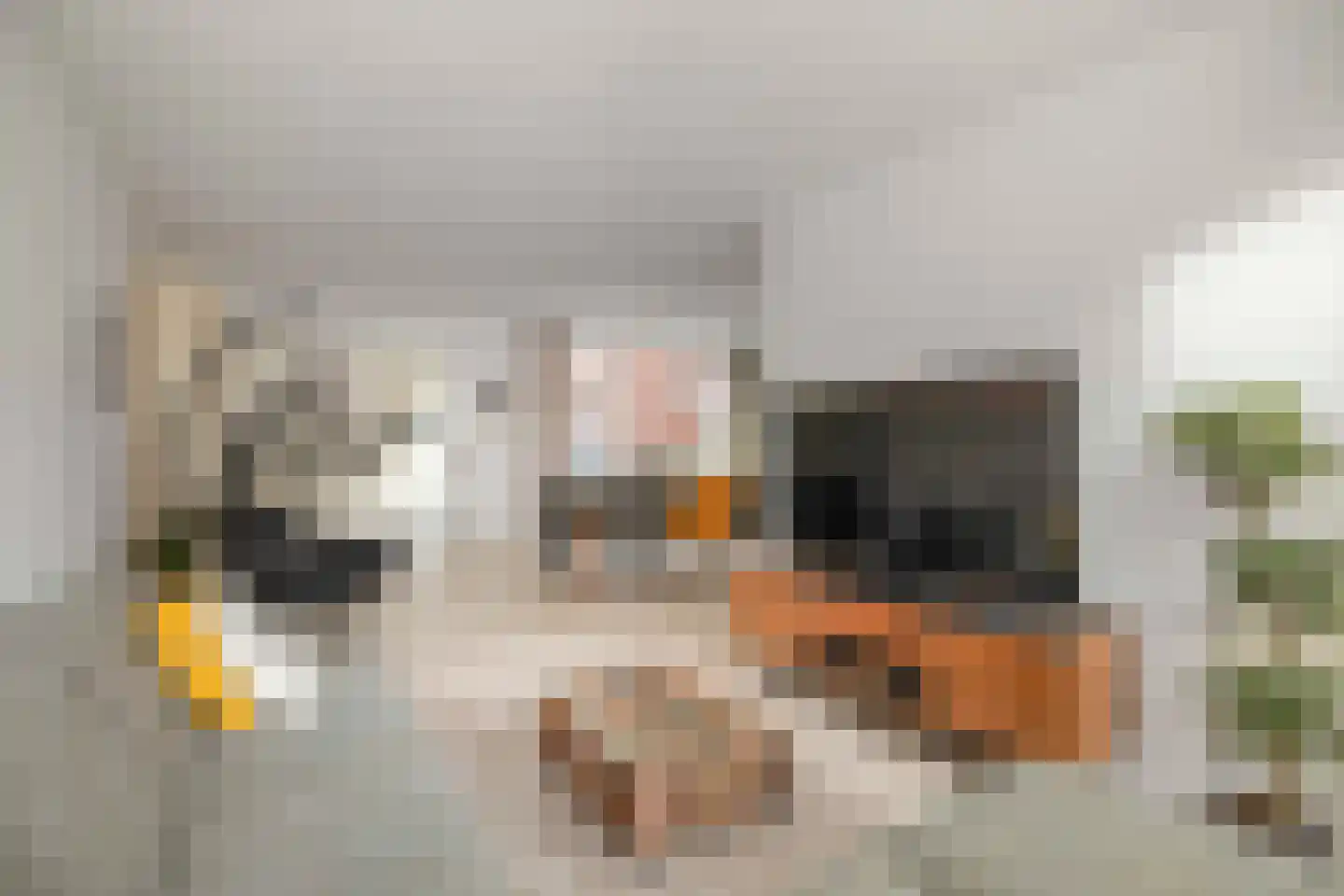 van Spiegelstraat 13 Twello thumbnail 7