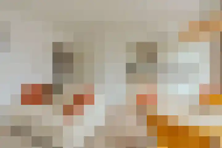 Van Spilbergenstraat 121 3 Amsterdam thumbnail 7