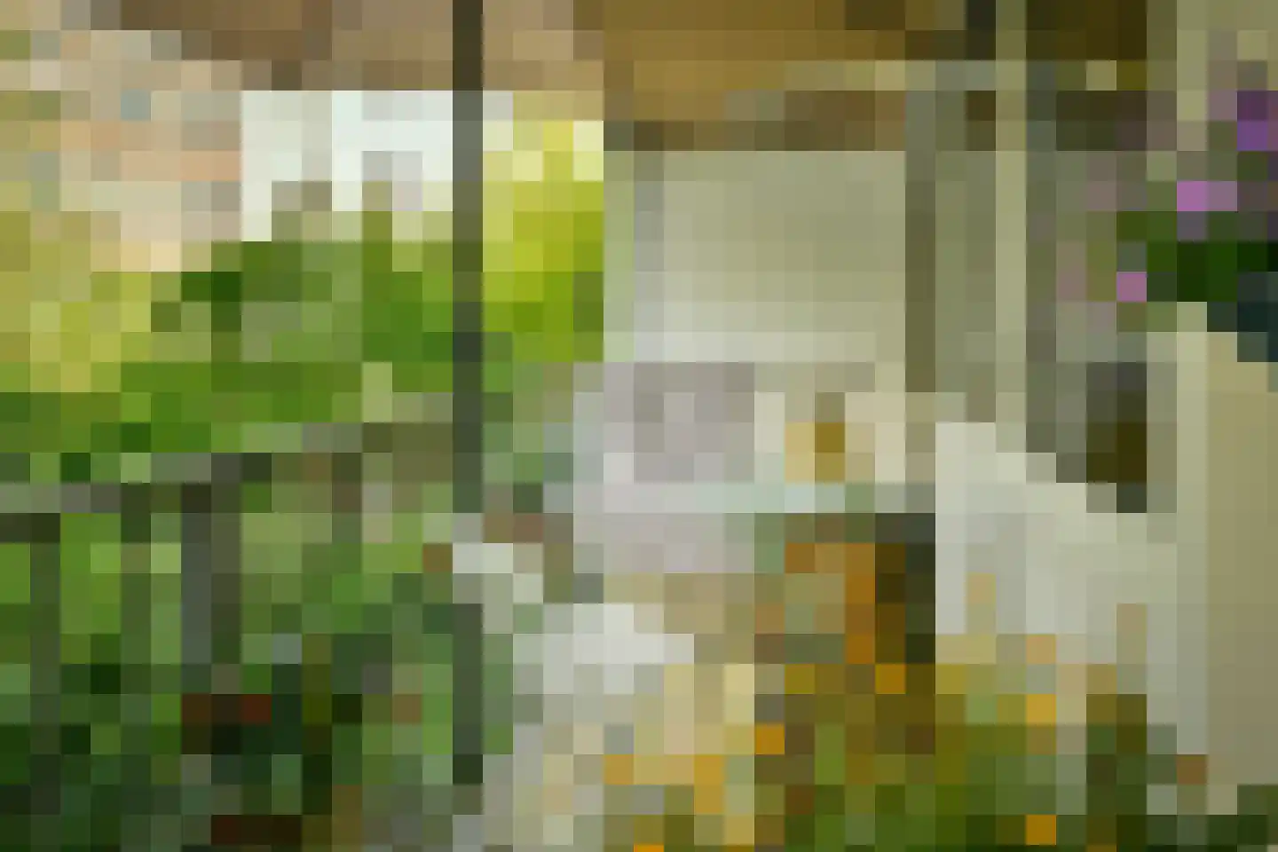 Van Spilbergenstraat 139 3 Amsterdam thumbnail 20