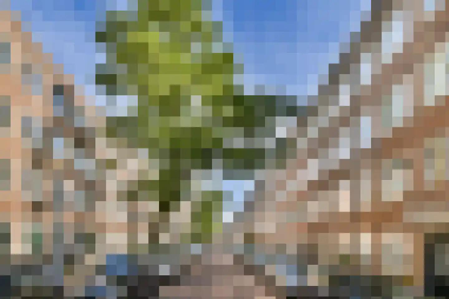 Van Spilbergenstraat 14 2 Amsterdam thumbnail 18