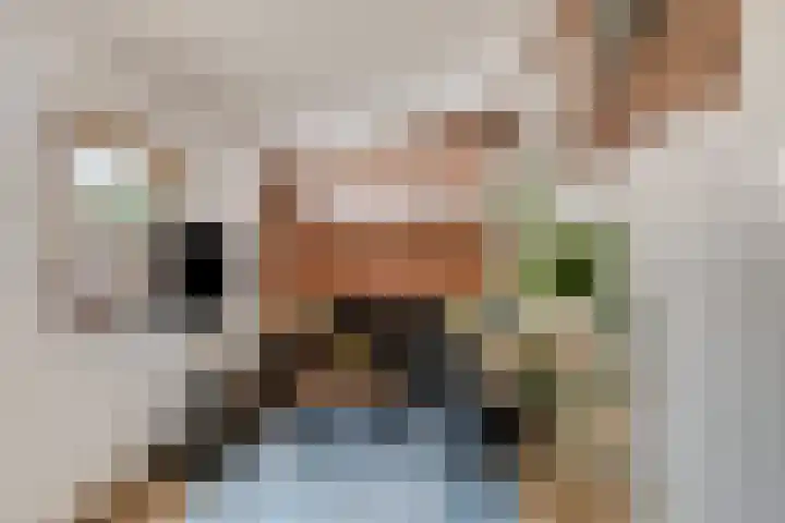 Van Spilbergenstraat 14 Amersfoort thumbnail 11